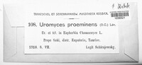 Uromyces proëminens image